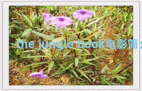 the jungle book电影简介？the jungle book (1994)
